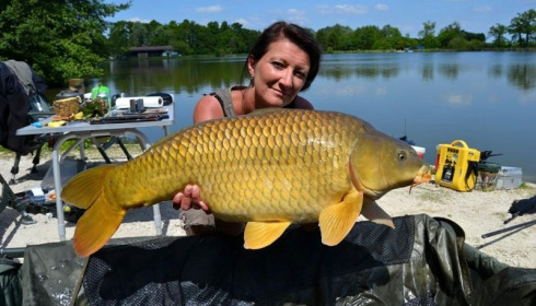 A carp from Jonchery, May 2015