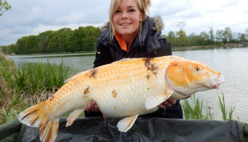 A carp from Jonchery, Apr 2014