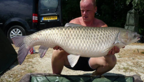 A grass carp from Jonchery, Jul 2013