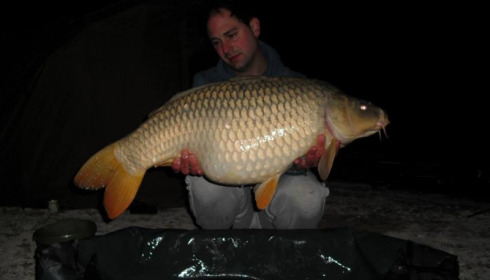 A carp from Jonchery, Swim 4, Apr 2014