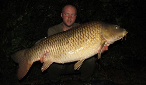 A carp from Jonchery, Aug 2016