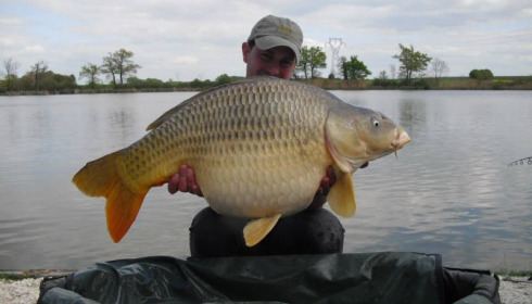 A carp from Jonchery, Swim 4, Apr 2014
