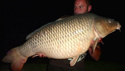 A carp from Jonchery, Aug 2014