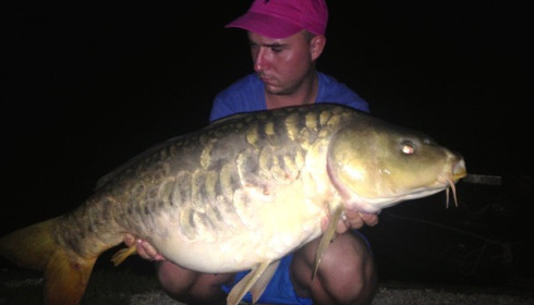 A carp from Jonchery, Jul 2014