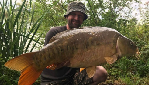 A carp from Jonchery, Aug 2017