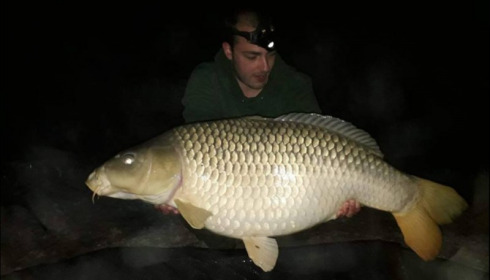 A carp from Jonchery, Apr 2019