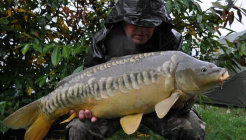 A carp from Jonchery, Swim 1, May 2014