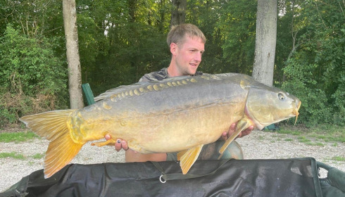 A carp from Jonchery, Jul 2023