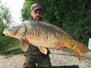 A carp from Jonchery, Aug 2017