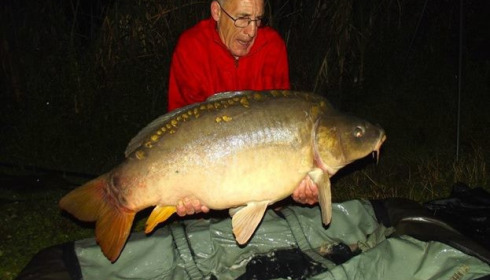 A carp from Jonchery, Jul 2014