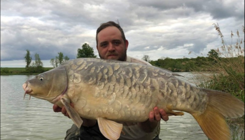 A carp from Jonchery, May 2019