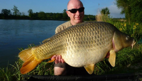 A carp from Jonchery, May 2014