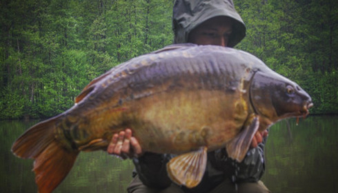 A 34 lb 7 oz carp from La Fonte, Luke Norris, May 2017