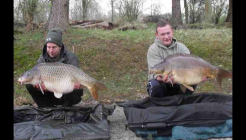 A carp from La Fonte, Apr 2012
