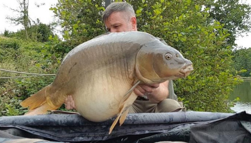 A carp from La Fonte, Rob Avery, Jul 2019