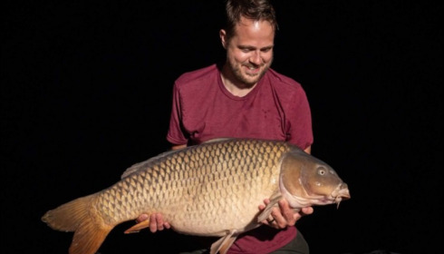 A carp from La Fonte, Aug 2019