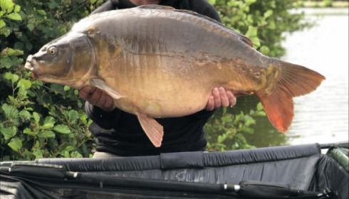 A 37 lb carp from La Fonte, Adam Pike, Jul 2019