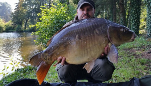 A carp from La Fonte, Sep 2014