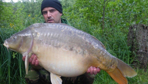 A carp from La Fonte, May 2015