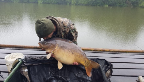 A carp from La Fonte, Stephen Richards, Sep 2017