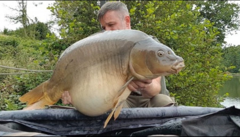 A carp from La Fonte, Jul 2019
