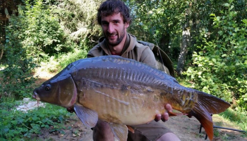 A carp from La Fonte, Sep 2014