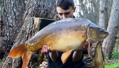 A carp from La Fonte, Ryan, Mar 2015