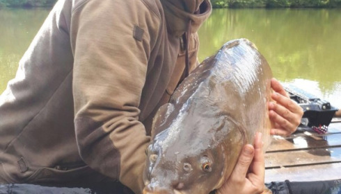A carp from La Fonte, Lewis Dunford, Sep 2017
