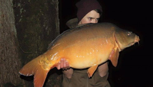A carp from La Fonte, Ryan, Mar 2015