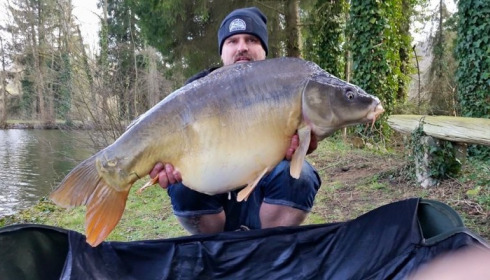 A carp from La Fonte, Mar 2015