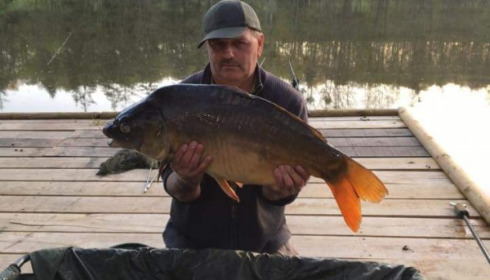 A carp from La Fonte, brian justice, Apr 2017