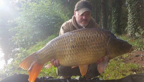 A carp from La Fonte, Sep 2014