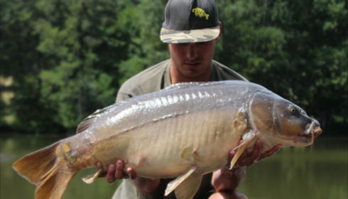 A carp from La Fonte, Daniel Fair, Jul 2018