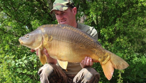 A carp from La Fonte, Matt Linstead, Apr 2016