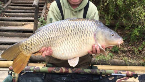 A 36 lb 2 oz carp from La Fonte, brian justice, Apr 2017