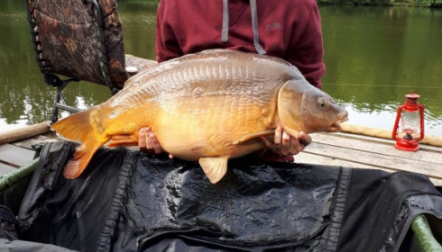 A carp from La Fonte, Lewis Dunford, Sep 2017