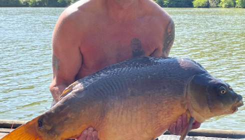 A carp from La Fonte, Sep 2021