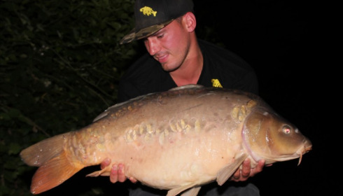 A carp from La Fonte, Daniel Fair, Jul 2018