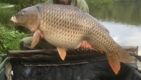 A 42 lb 12 oz carp from La Fonte, Nigel Rix, Apr 2018