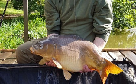 A carp from La Fonte, Glenn Booth, Sep 2017