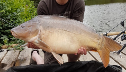 A 30 lb carp from La Fonte, Anthony Milton, Jul 2017