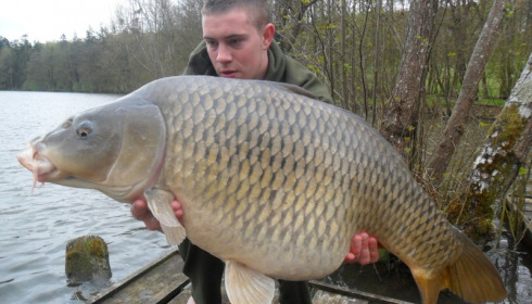A carp from La Fonte, Mar 2015