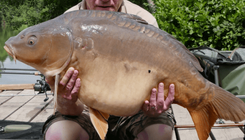 A 36 lb 6 oz carp from La Fonte, Anthony Milton, Jul 2017
