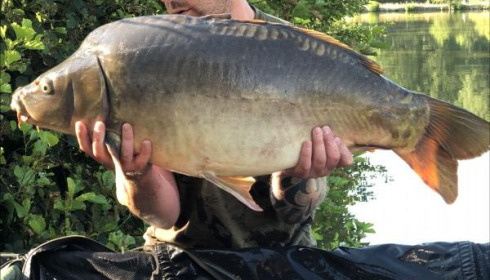A 39 lb carp from La Fonte, Adam Pike, Jul 2019