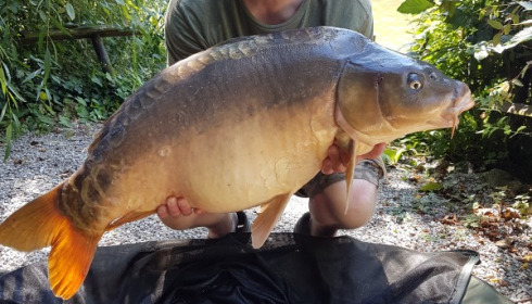 A 32 lb 12 oz carp from La Fonte, Anthony Milton, Jul 2017