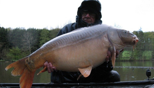 A carp from La Fonte, Jim Kelly, Apr 2016