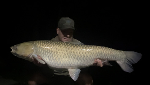 A fish from La Fonte, Jun 2022