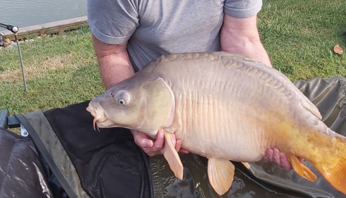 A fish from Landes, Jul 2021