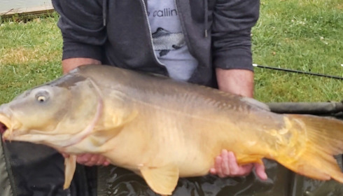 A 34 lb 5 oz fish from Landes, Carp, Jul 2021