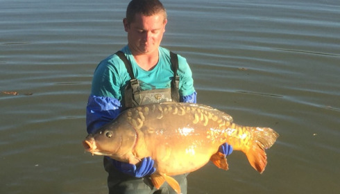 A carp from Landes, Jan 2018